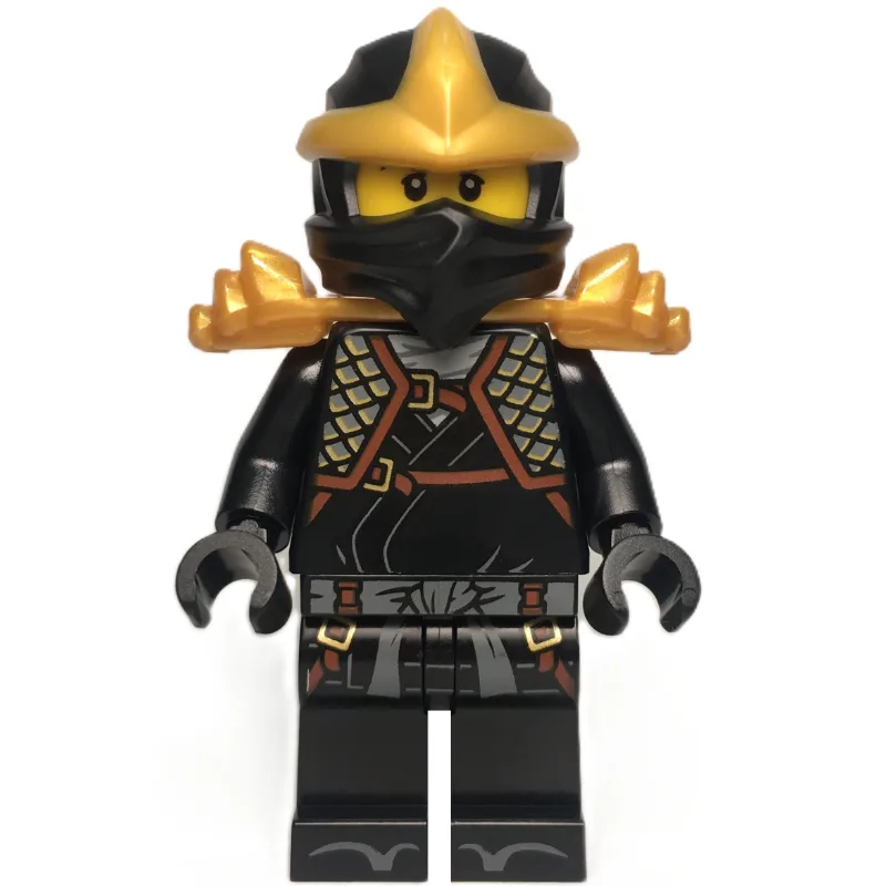 Cole — dans quels sets LEGO ? (fig-017121) | Brick Broker