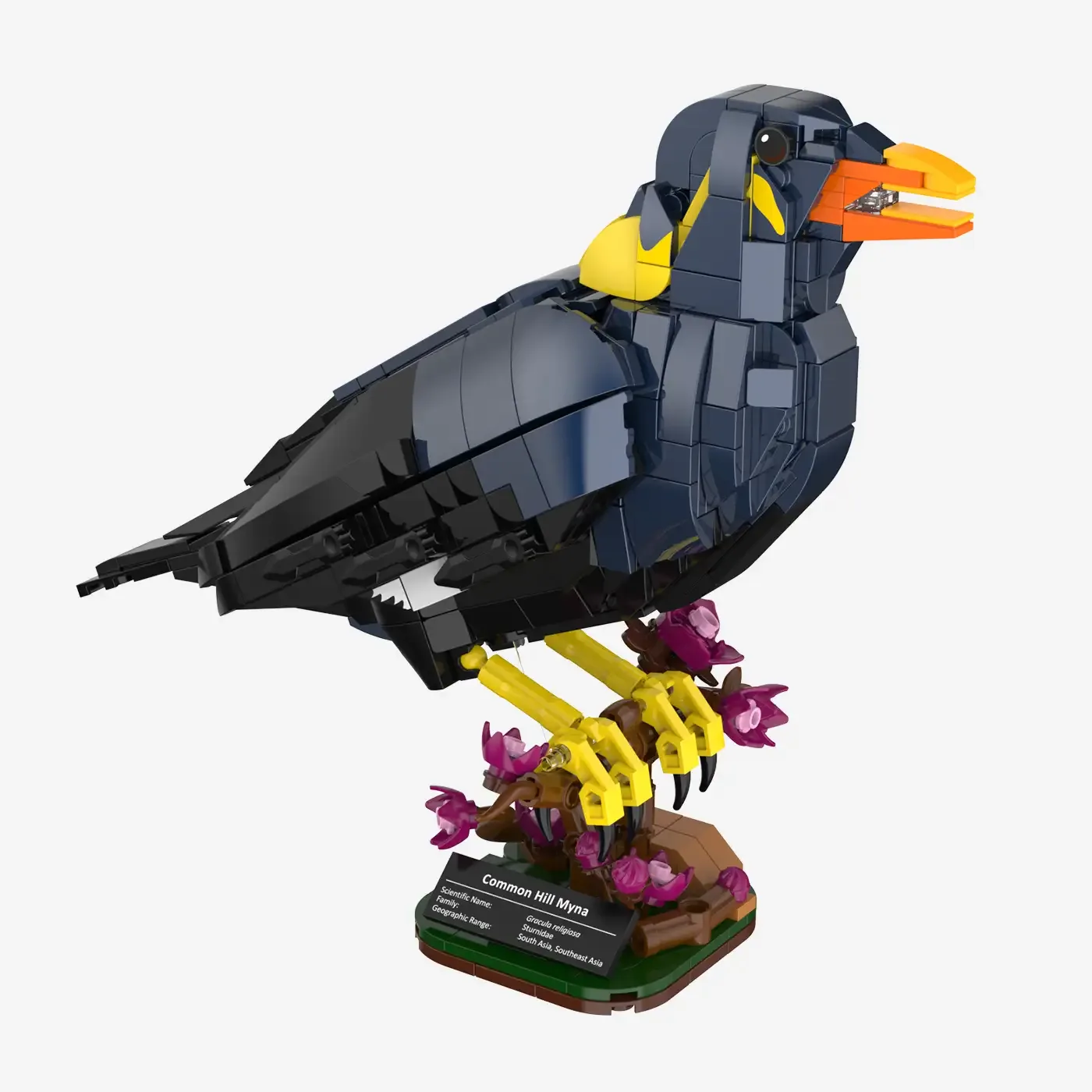 BlueBrixx Common Hill Myna (BB-109095) - prix | Brick Broker