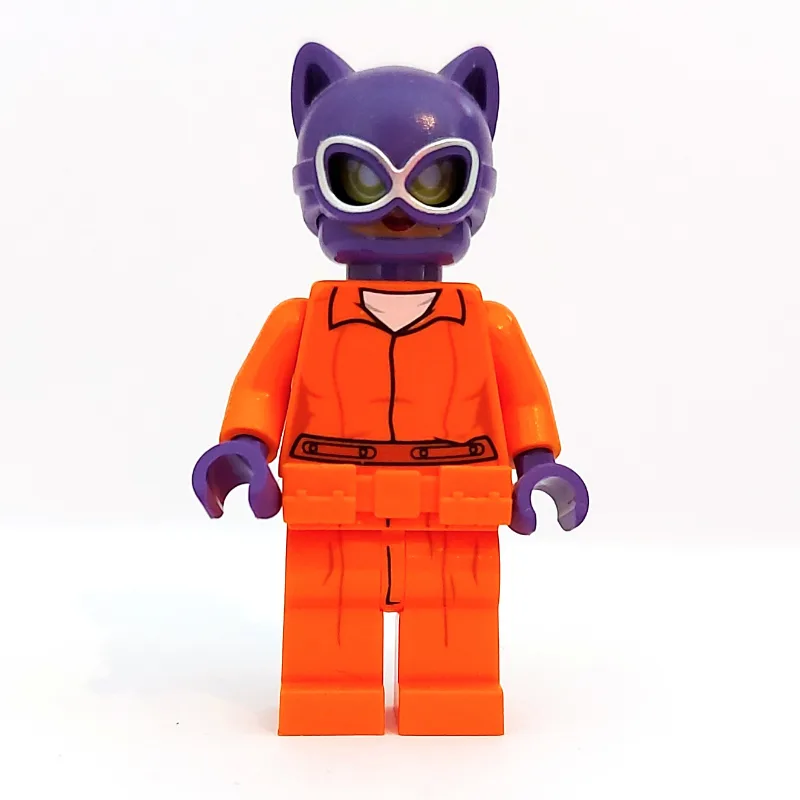 Catwoman in Prison Clothes — dans quels sets LEGO ? (fig-004653) | Brick Broker