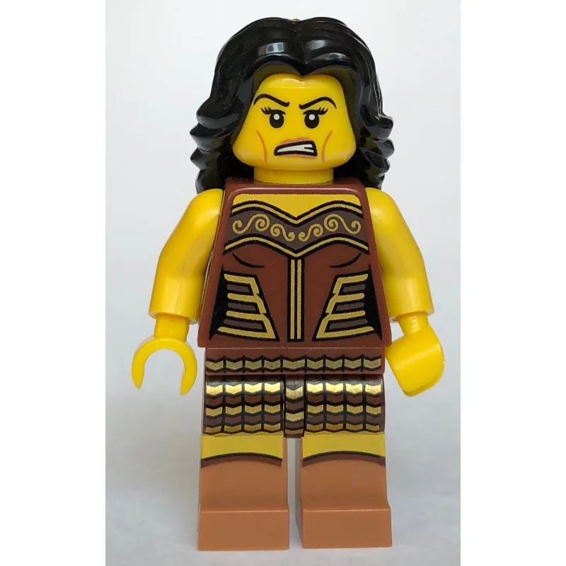 Warrior Woman — dans quels sets LEGO ? (fig-000023) | Brick Broker