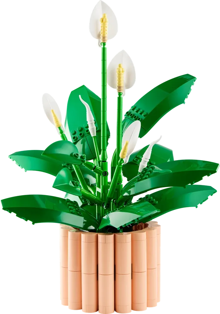 LEGO 11504 Lys de la paix - prix et où acheter | Brick Broker