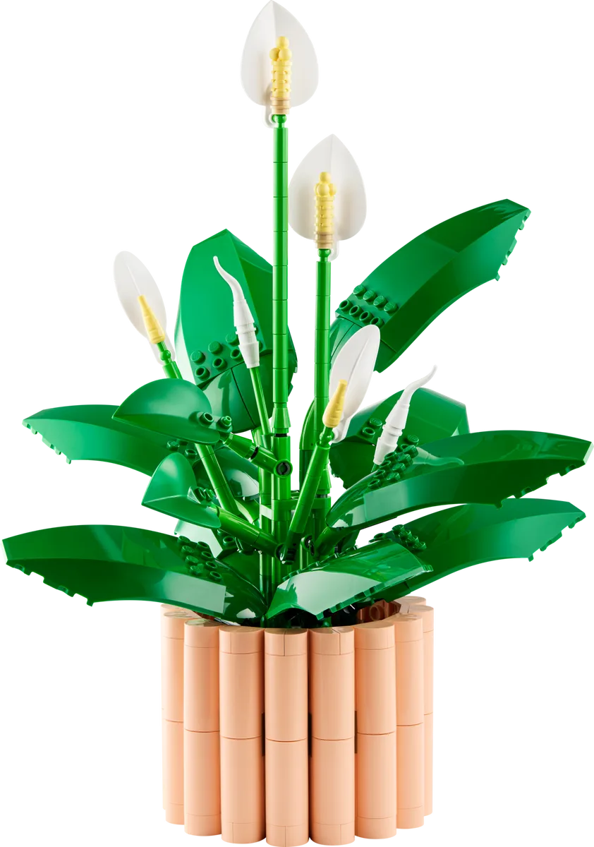 LEGO 11504 Lys de la paix - prix et où acheter | Brick Broker