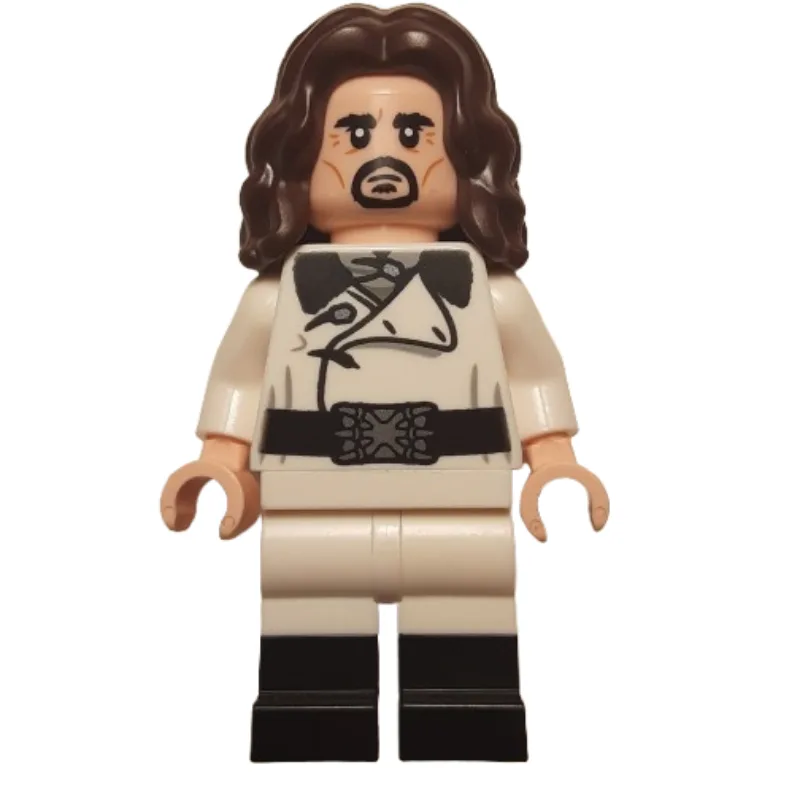 Professor Igor Karkaroff, White Outfit — dans quels sets LEGO ? (fig-015100) | Brick Broker