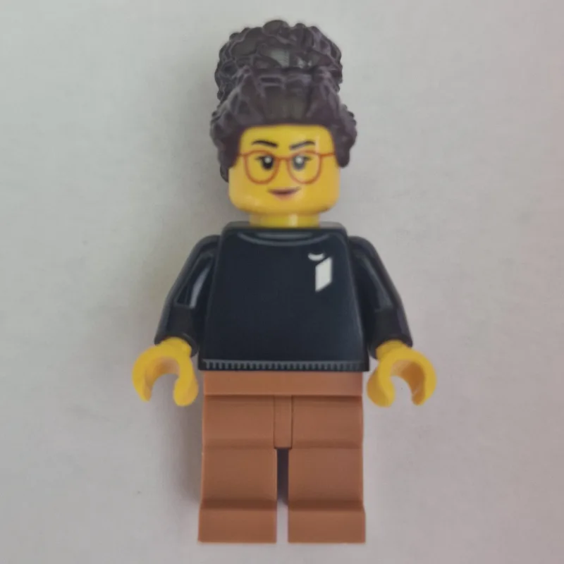 LEGO Ideas Designer — dans quels sets LEGO ? (fig-016351) | Brick Broker