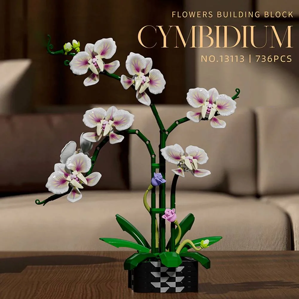 MJI Cymbidium (MJI-13113) - prix et où acheter | Brick Broker