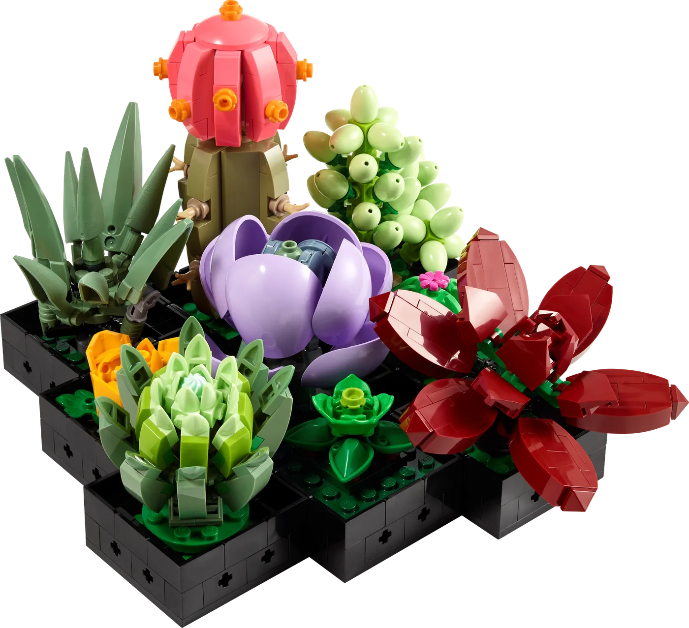 LEGO 10309 Plantes Grasses - prix et où acheter | Brick Broker