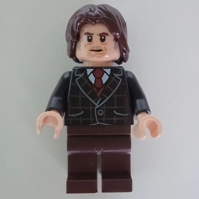 Mr Borgin — dans quels sets LEGO ? (fig-011344) | Brick Broker