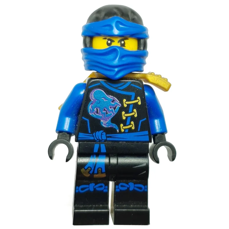 Jay with Dual Sided Head (Skybound) — dans quels sets LEGO ? (fig-002769) | Brick Broker