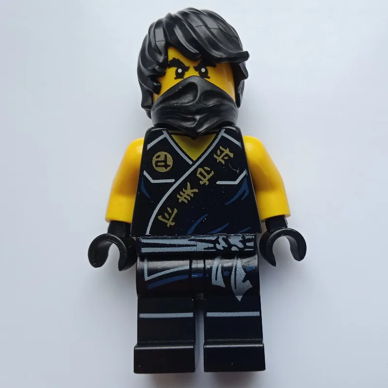 Cole (Tournament of Elements) — dans quels sets LEGO ? (fig-003014) | Brick Broker