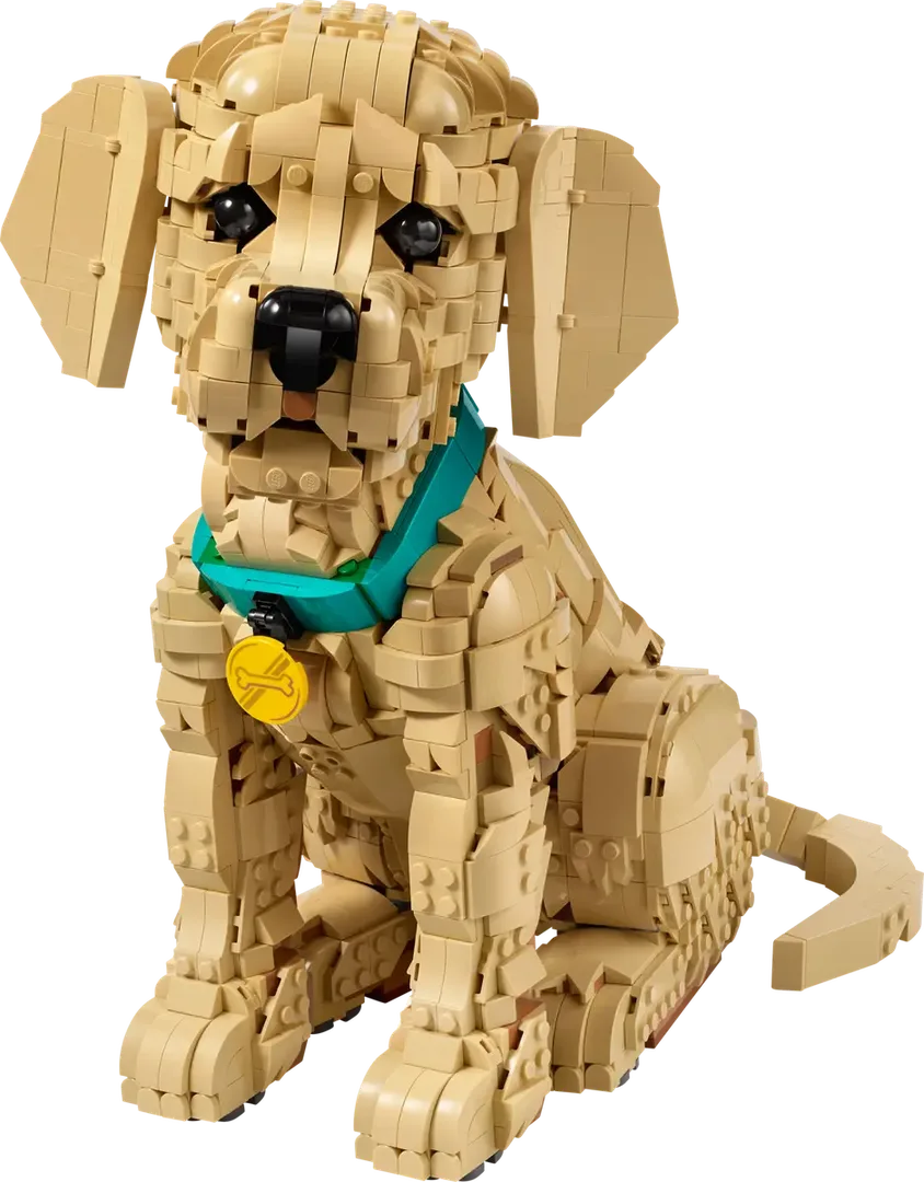 LEGO 11384 Chiots Golden Retriever - prix | Brick Broker