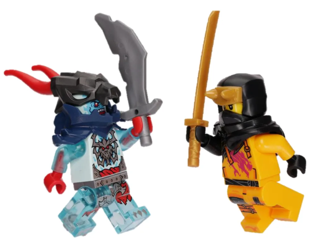 LEGO 112506 Arin contre l'éclaireur draconien spectral - prix | Brick Broker