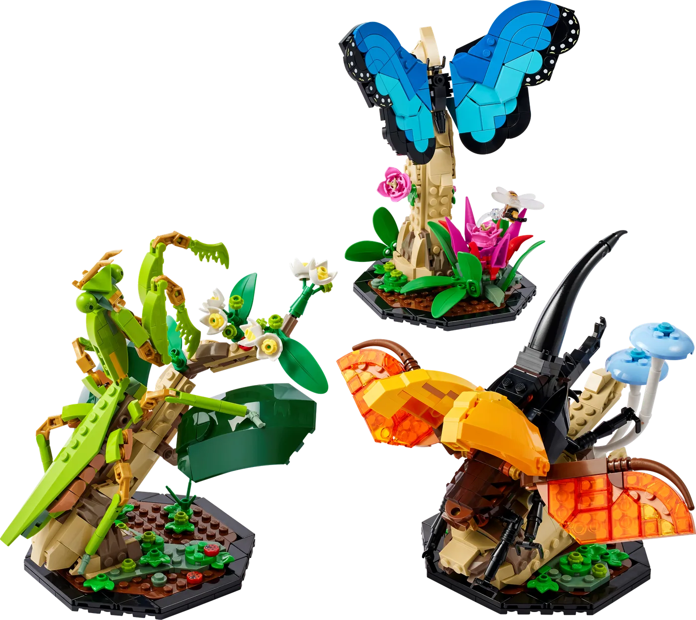LEGO 21342 La Collection d'Insectes - prix | Brick Broker