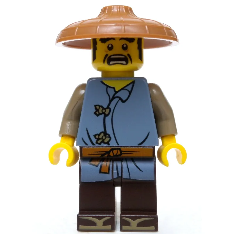 Ray with Conical Hat — dans quels sets LEGO ? (fig-002876) | Brick Broker