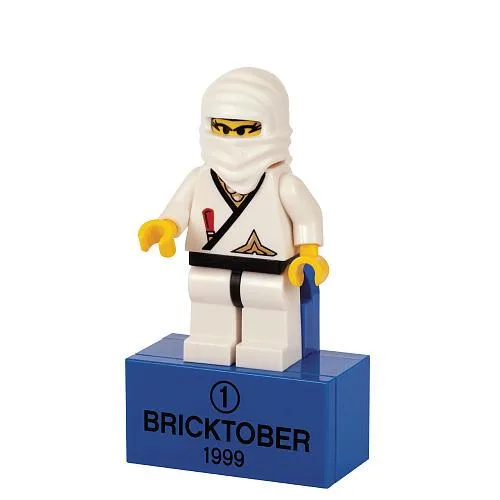 LEGO 2856223 Princesse Ninja - prix et où acheter | Brick Broker