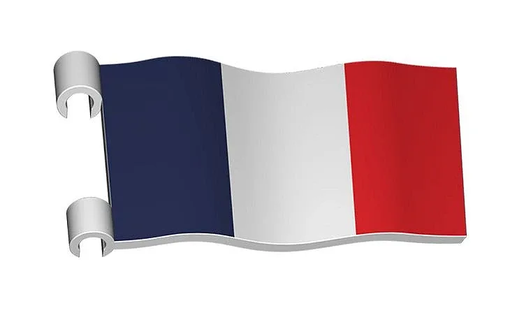 COBI Drapeau de la France (COBI-01343) - prix | Brick Broker