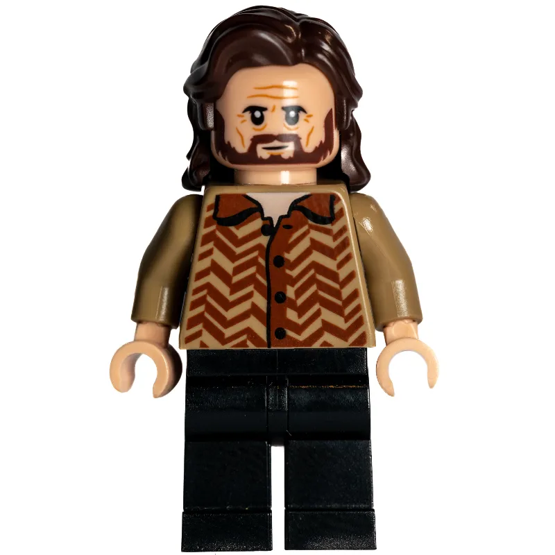 Sirius Black, Dark Tan Sweater — dans quels sets LEGO ? (fig-013058) | Brick Broker