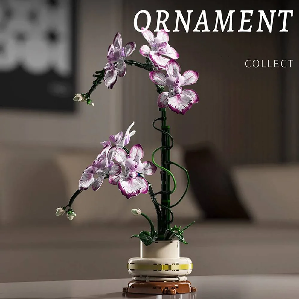 MJI Cymbidium (MJI-13114) - prix et où acheter | Brick Broker