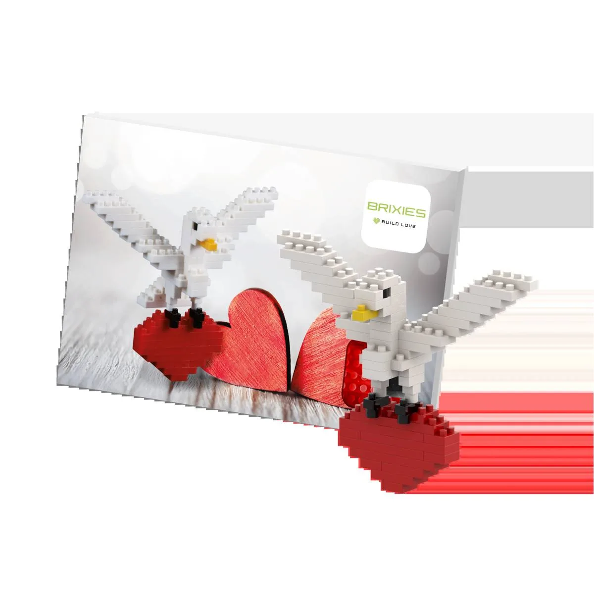 BRIXIES Carte postale Tourterelle (BRIXIES-220.032) - prix | Brick Broker