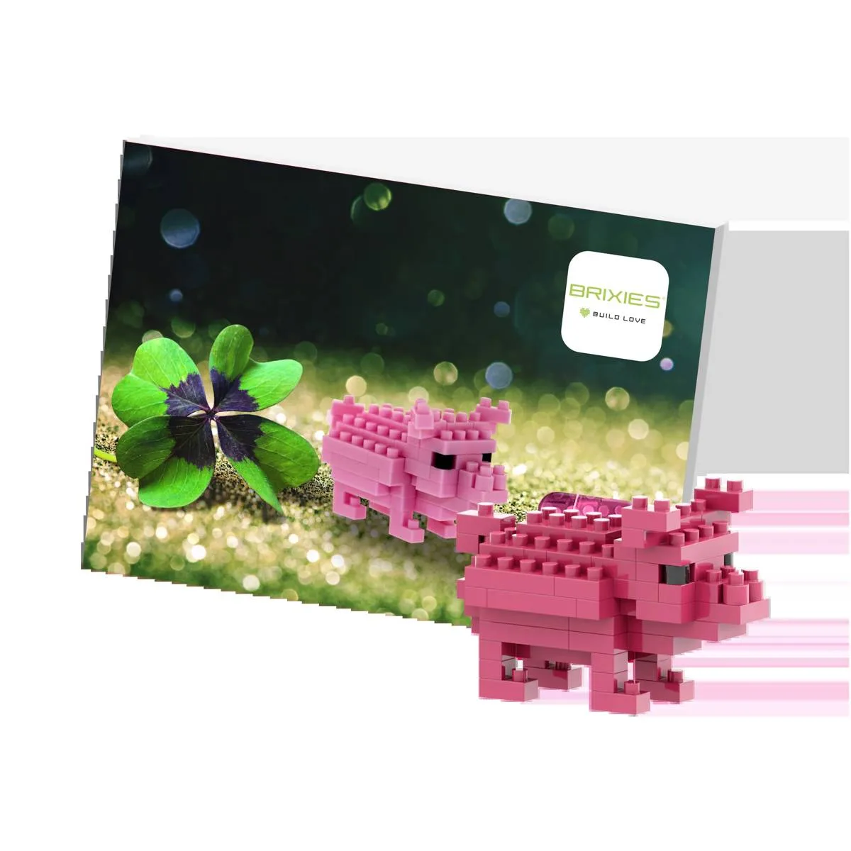 BRIXIES Carte postale Cochon porte-bonheur (BRIXIES-220.052) - prix | Brick Broker