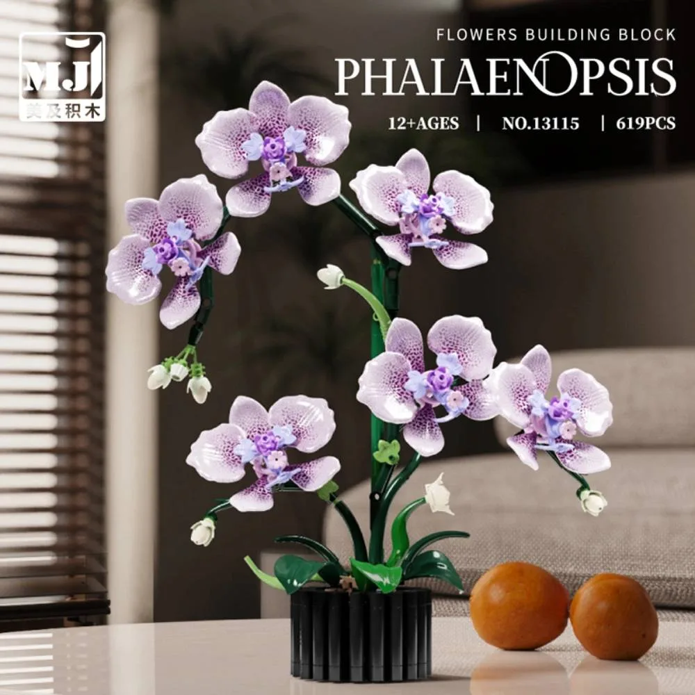 MJI Phalaenopsis (MJI-13115) - prix et où acheter | Brick Broker
