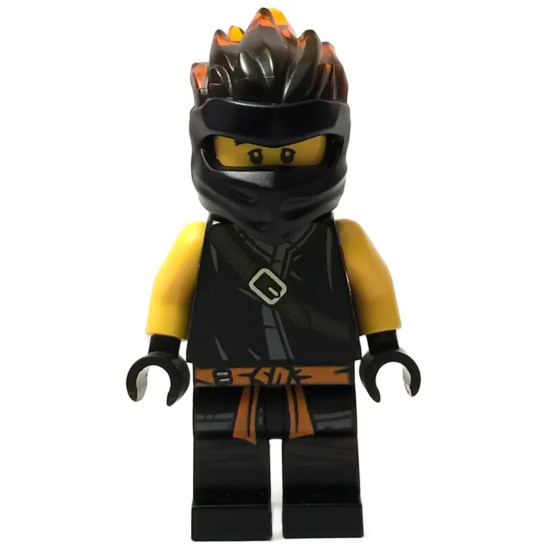Cole FS — dans quels sets LEGO ? (fig-002799) | Brick Broker