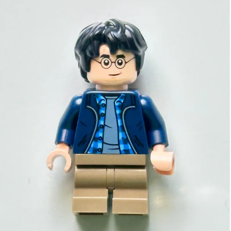 Harry Potter — dans quels sets LEGO ? (fig-016076) | Brick Broker
