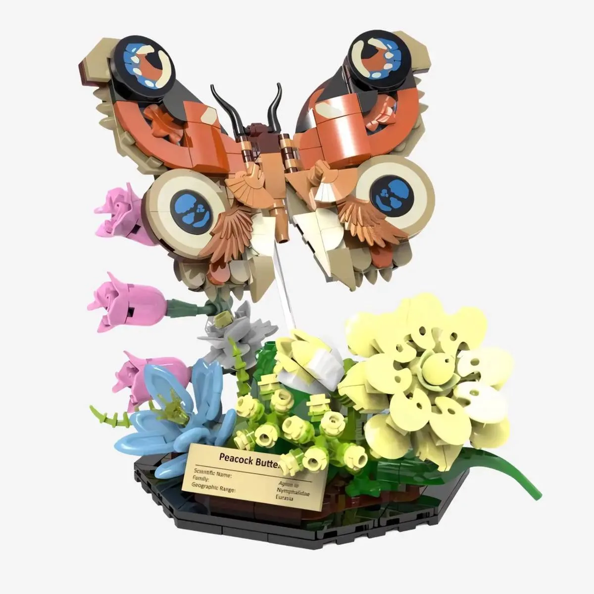 BlueBrixx Papillon paon (BB-108709) - prix | Brick Broker