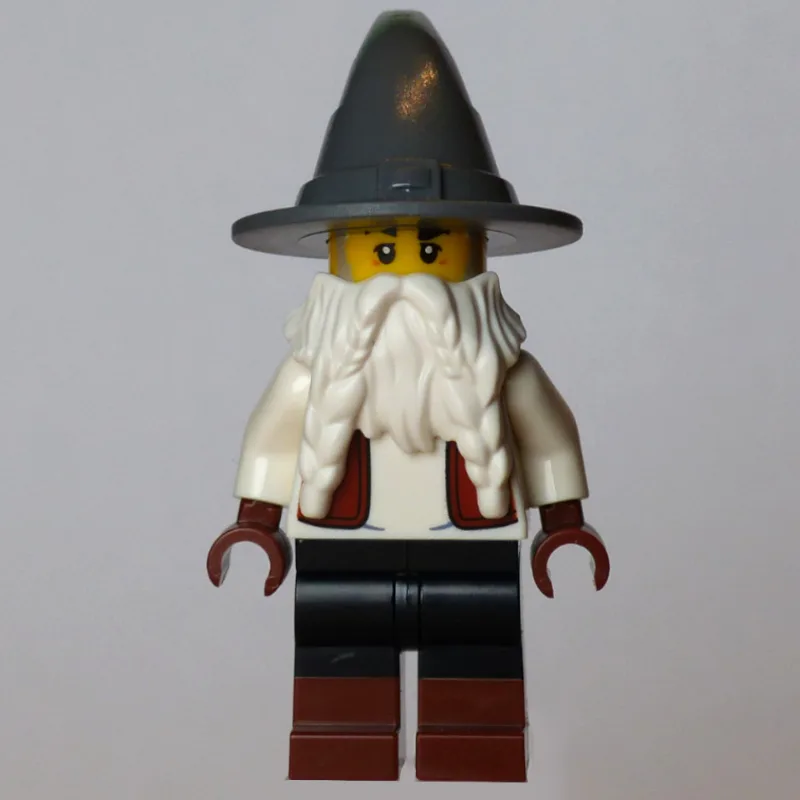 Wizard — dans quels sets LEGO ? (fig-017913) | Brick Broker