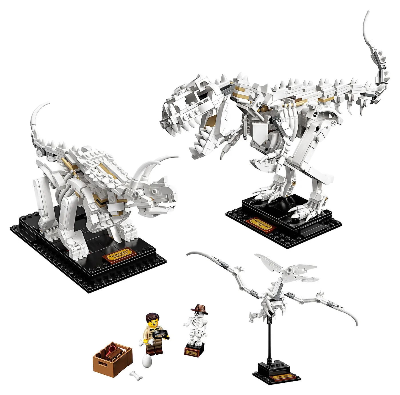 LEGO 21320 Fossiles de dinosaures - prix | Brick Broker