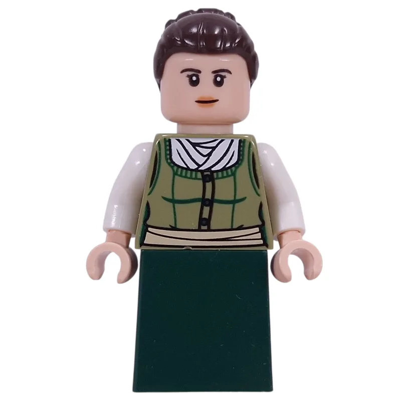 Jane Austen — dans quels sets LEGO ? (fig-016513) | Brick Broker