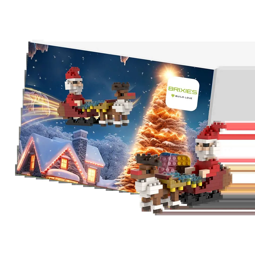 BRIXIES Père Noël avec traîneau (BRIXIES-220.092) - prix | Brick Broker