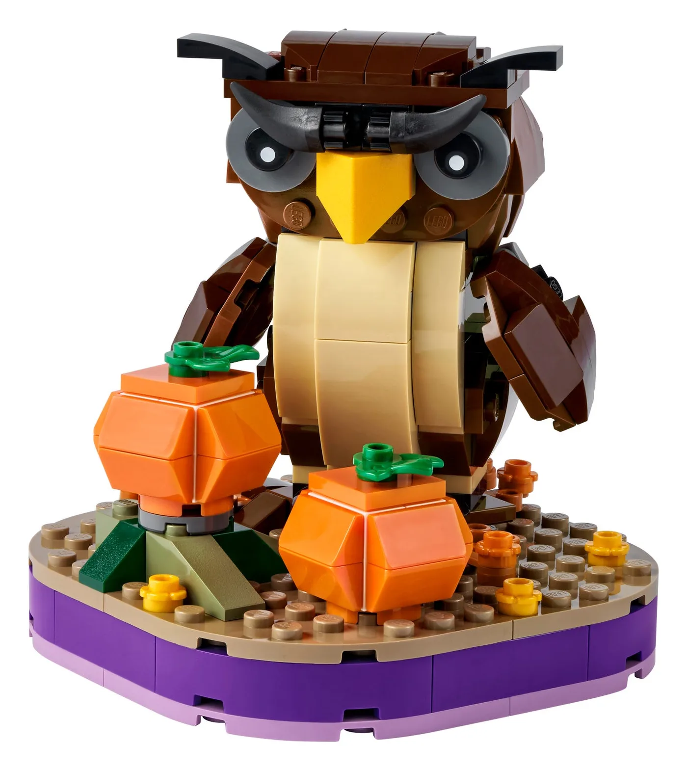 LEGO 40497 Hibou d'Halloween - prix et où acheter | Brick Broker