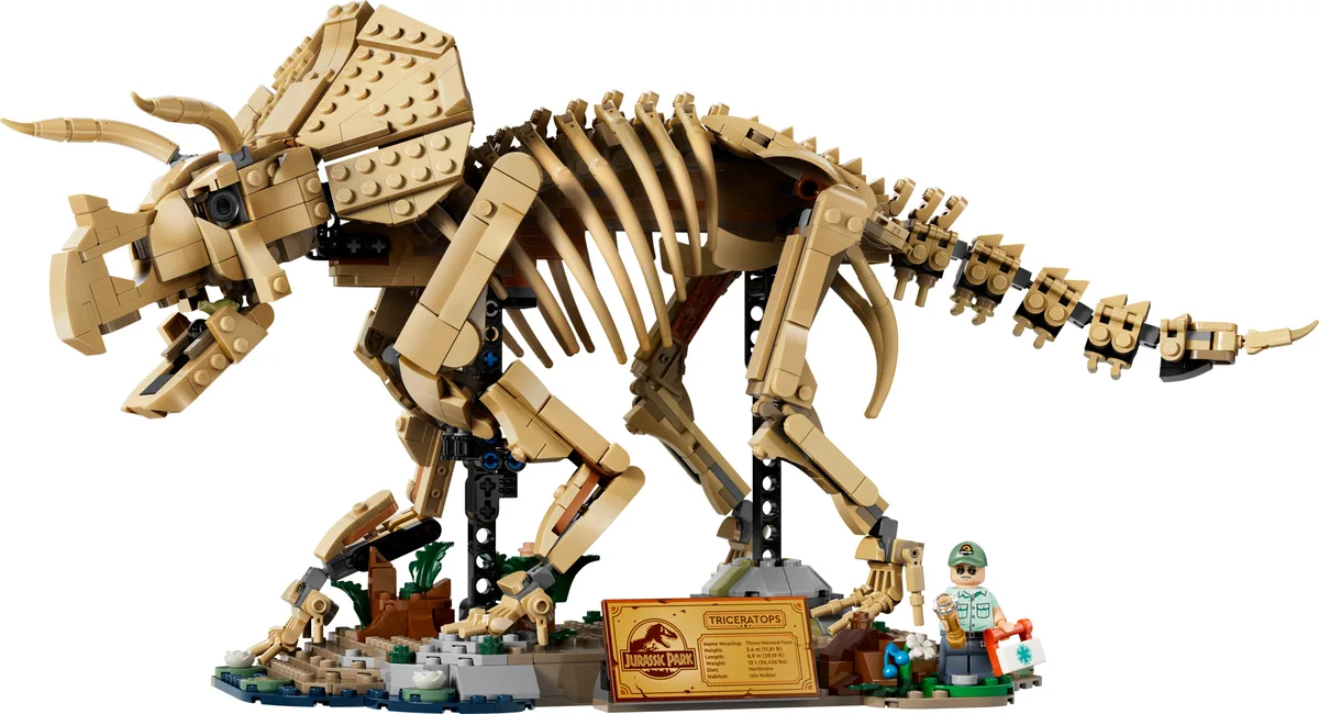 LEGO 77985 Fossiles de dinosaures : Tricératops - prix | Brick Broker