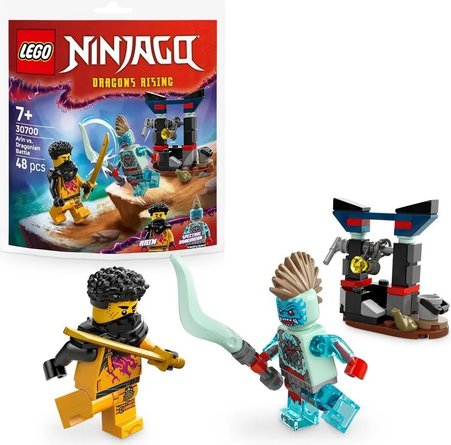 LEGO 30700 Combat d'Arin contre Dragonian - prix | Brick Broker