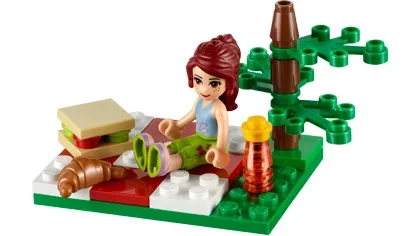 LEGO 30108 Pique-nique estival - prix et où acheter | Brick Broker