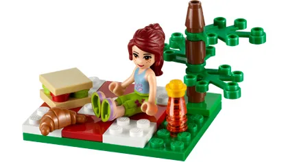 LEGO 30108 Pique-nique estival - prix et où acheter | Brick Broker