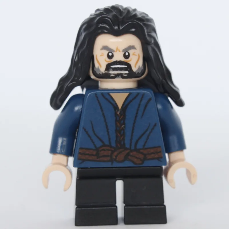 Thorin Oakenshield - Lake-Town — dans quels sets LEGO ? (fig-005921) | Brick Broker