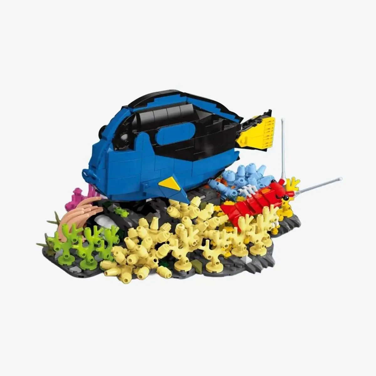 BlueBrixx Poisson-chirurgien palette (BB-108672) - prix | Brick Broker
