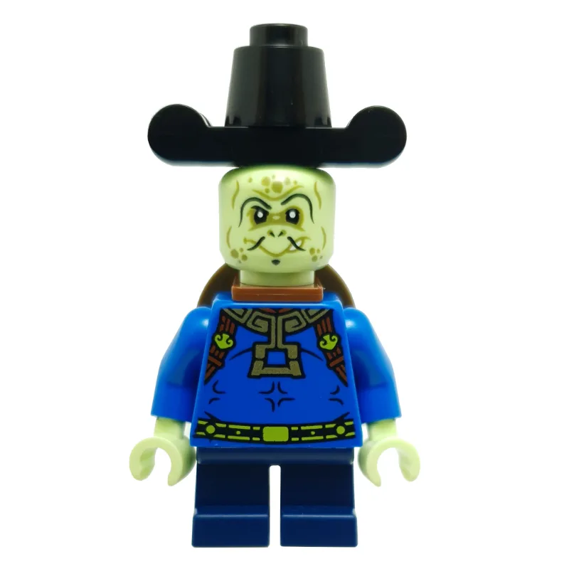 Turtle Minister — dans quels sets LEGO ? (fig-013843) | Brick Broker